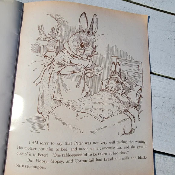 The Tale of Peter Rabbit Book ~ Reproduction of Vintage Book ~ Colorful & Cute! - Picture 9 of 16